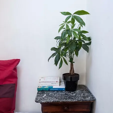 Rose St Germain Des Pres Lägenhet Paris