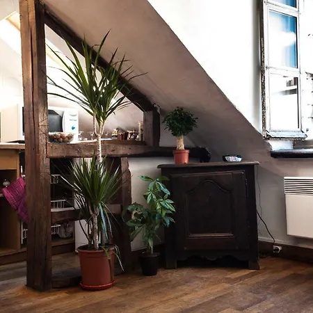 Rose St Germain Des Pres