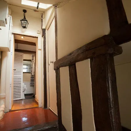 Rose St Germain Des Pres *