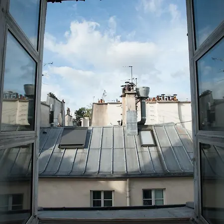 Rose St Germain Des Pres