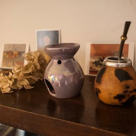 Rose St Germain Des Pres