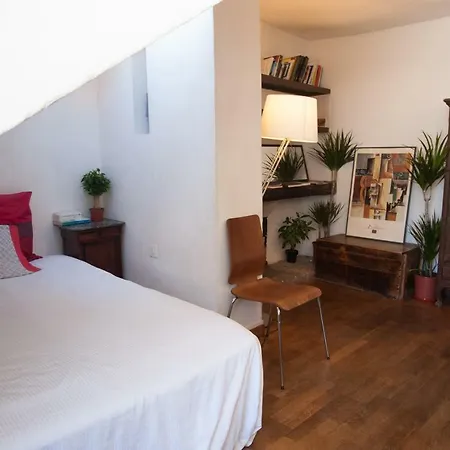 Rose St Germain Des Pres Paříž