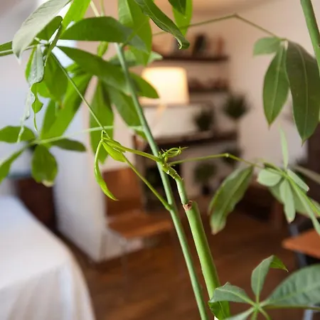 Apartmán Rose St Germain Des Pres Paříž