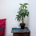 Rose St Germain Des Pres Apartment Paris